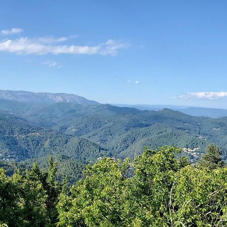 Gite De Combelebouze En Cevennes - Cosy, Confort Et Climatise - 3 Etoiles Saint-Privat-de-Vallongue Εξωτερικό φωτογραφία