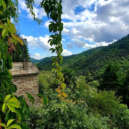 Gite De Combelebouze En Cevennes - Cosy, Confort Et Climatise - 3 Etoiles Saint-Privat-de-Vallongue Εξωτερικό φωτογραφία