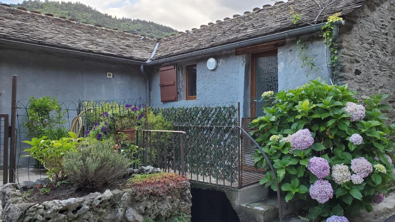 Gite De Combelebouze En Cevennes - Cosy, Confort Et Climatise - 3 Etoiles Saint-Privat-de-Vallongue Εξωτερικό φωτογραφία