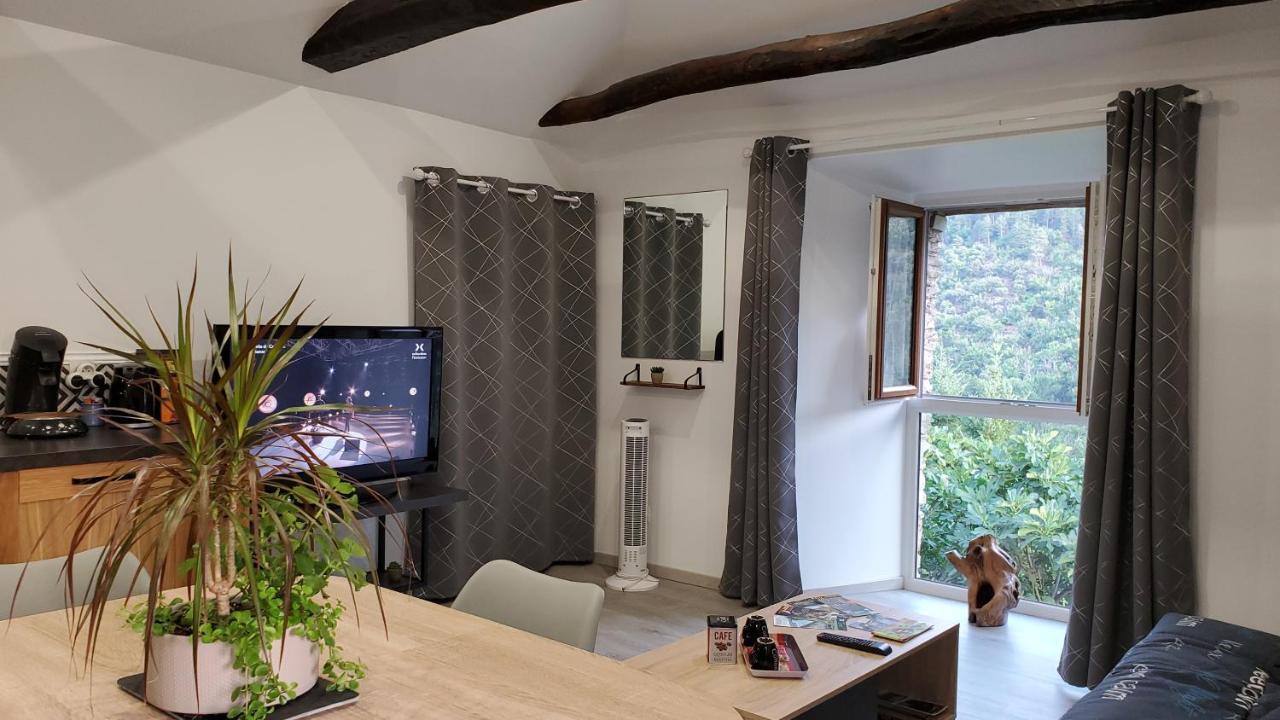 Gite De Combelebouze En Cevennes - Cosy, Confort Et Climatise - 3 Etoiles Saint-Privat-de-Vallongue Εξωτερικό φωτογραφία