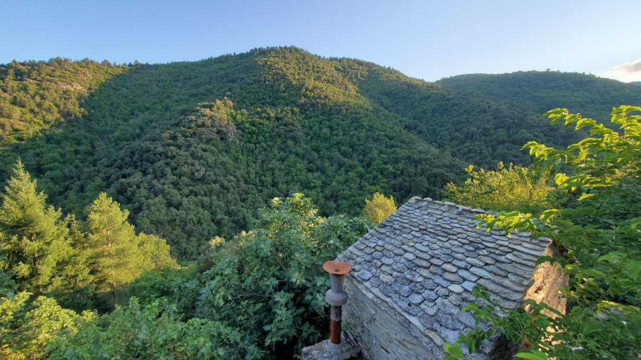 Gite De Combelebouze En Cevennes - Cosy, Confort Et Climatise - 3 Etoiles Saint-Privat-de-Vallongue Εξωτερικό φωτογραφία