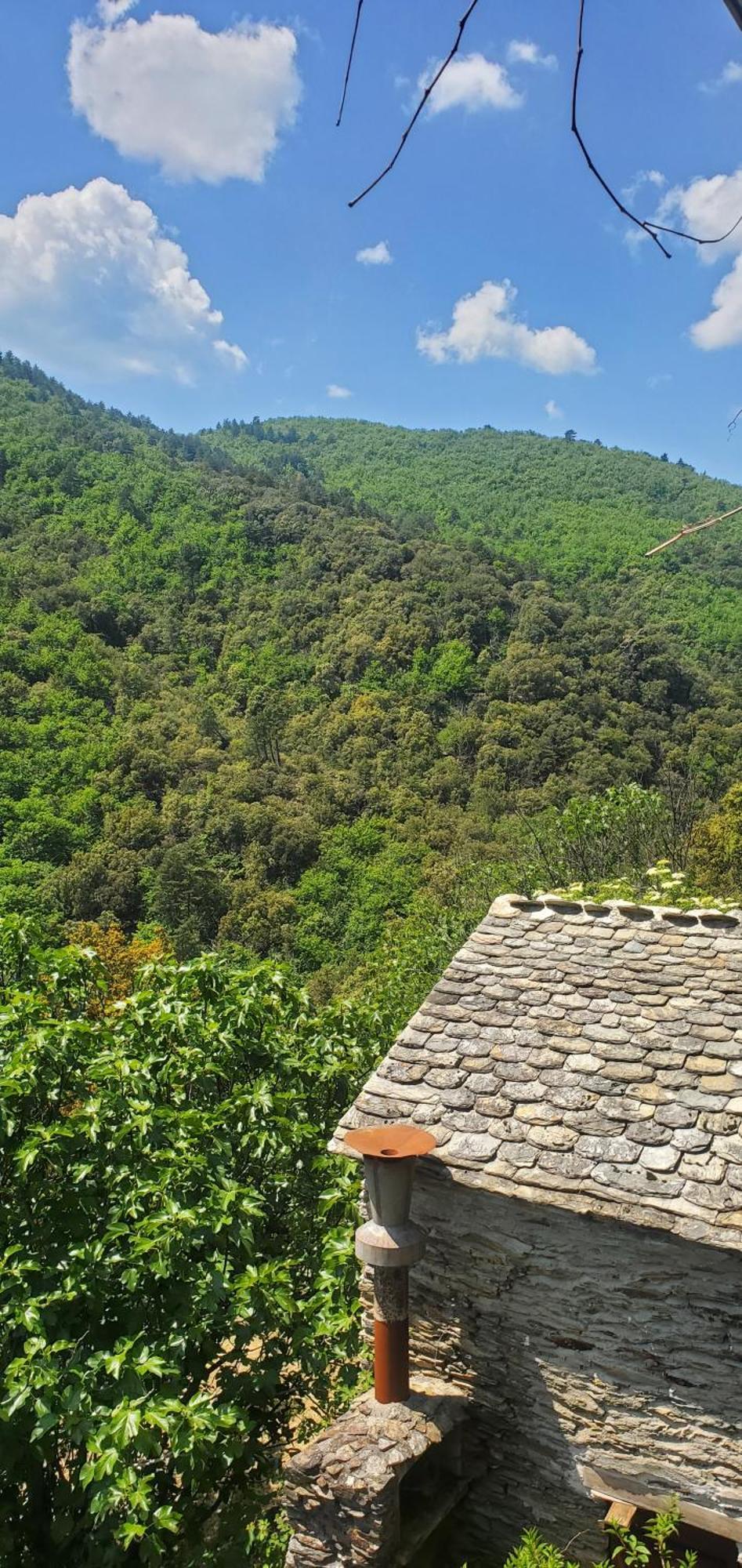 Gite De Combelebouze En Cevennes - Cosy, Confort Et Climatise - 3 Etoiles Saint-Privat-de-Vallongue Εξωτερικό φωτογραφία
