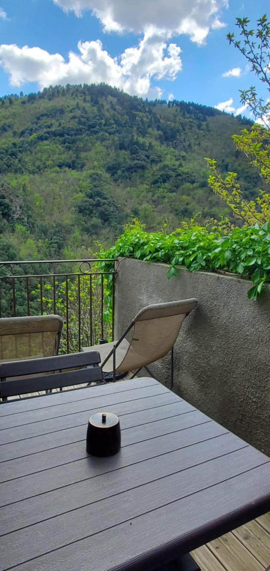 Gite De Combelebouze En Cevennes - Cosy, Confort Et Climatise - 3 Etoiles Saint-Privat-de-Vallongue Εξωτερικό φωτογραφία